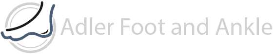 logo footer